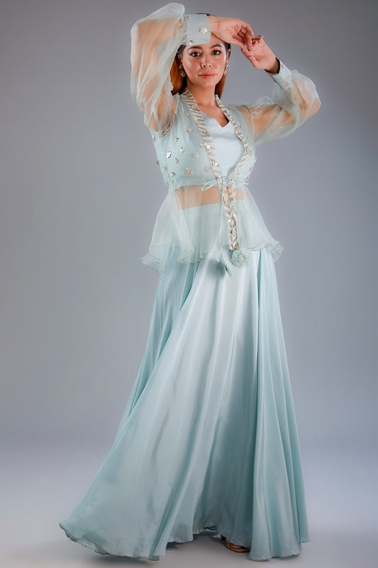 Organza Jacket and Skirt